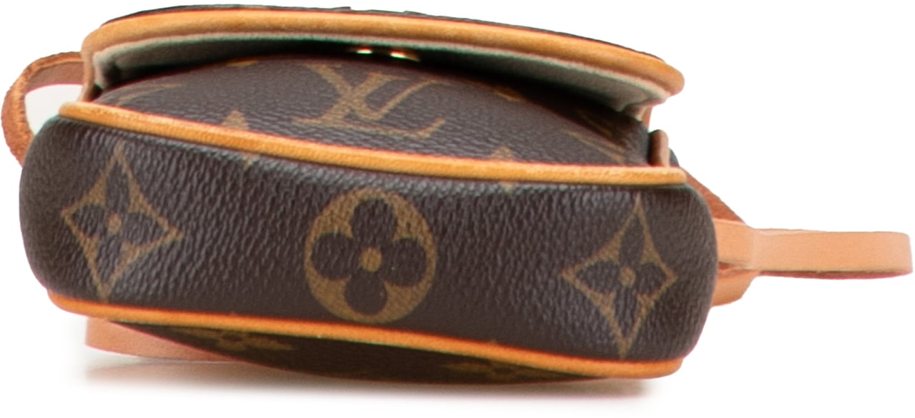 Louis Vuitton Monogram Pochette Cancun Bruin