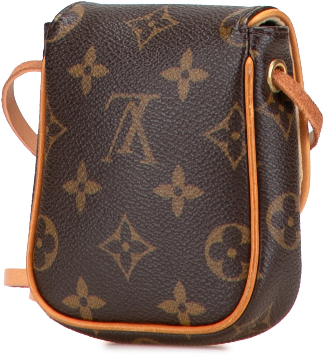 Louis Vuitton Monogram Pochette Cancun Bruin