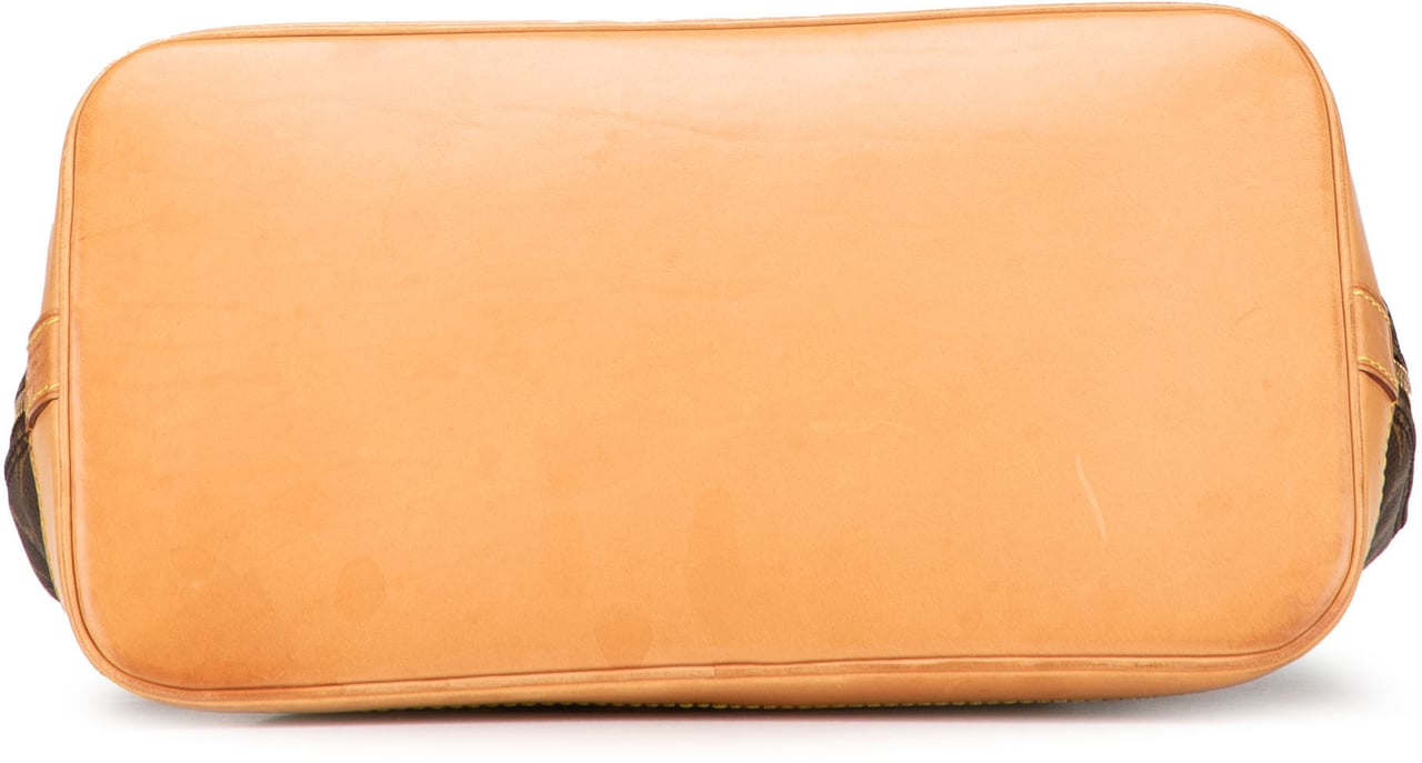 Louis Vuitton Monogram Alma PM Bruin