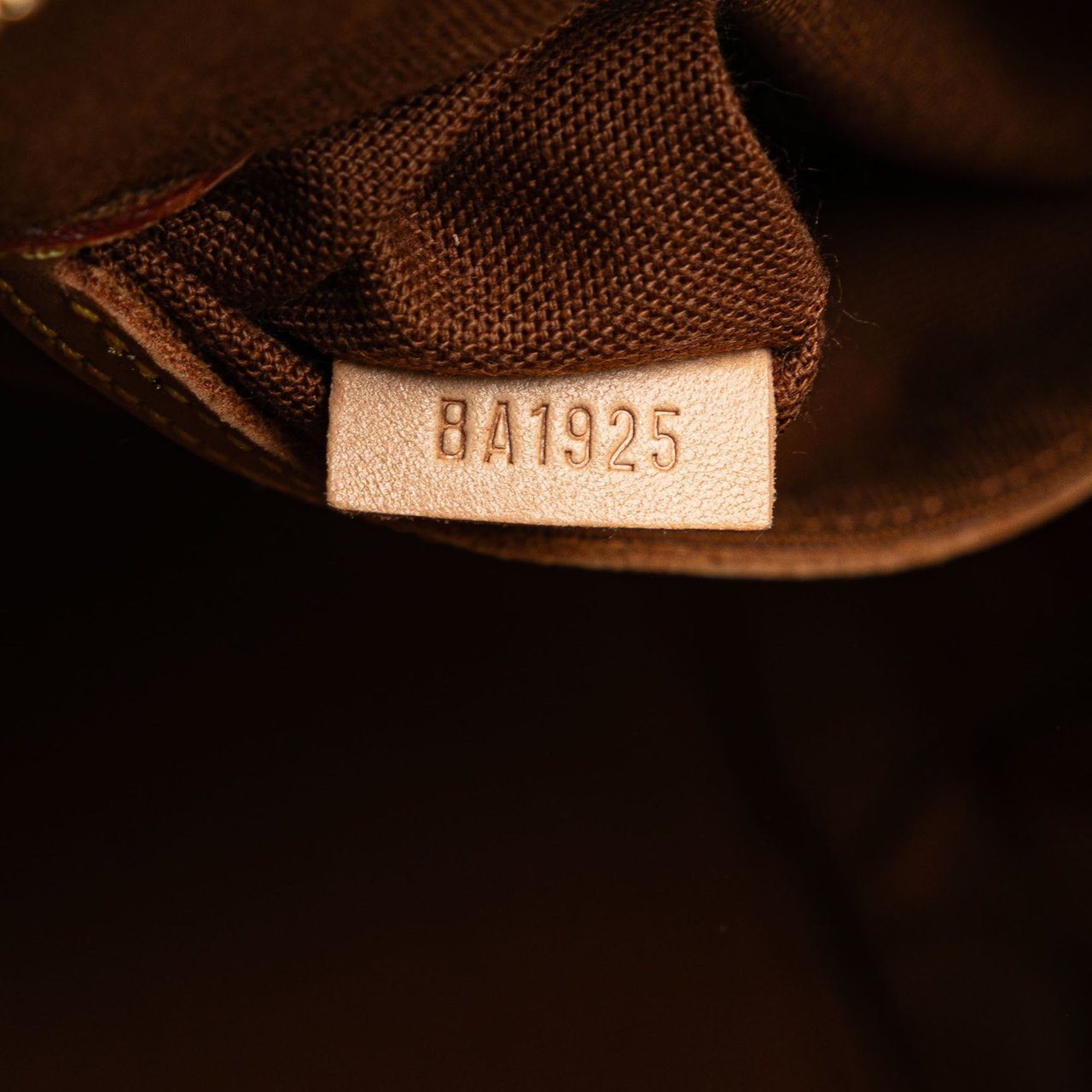 Louis Vuitton Monogram Alma PM Bruin