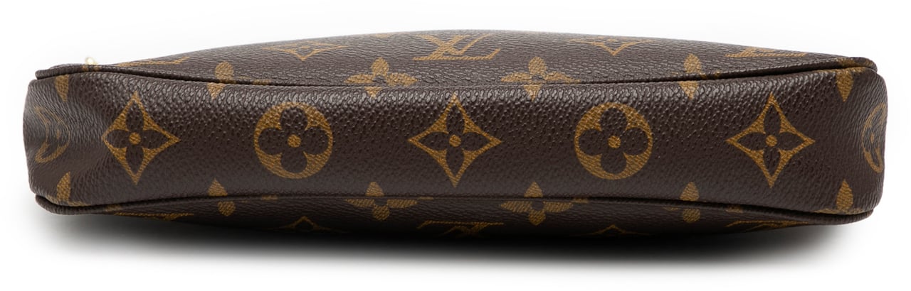 Louis Vuitton Monogram Pochette Accessoires Bruin