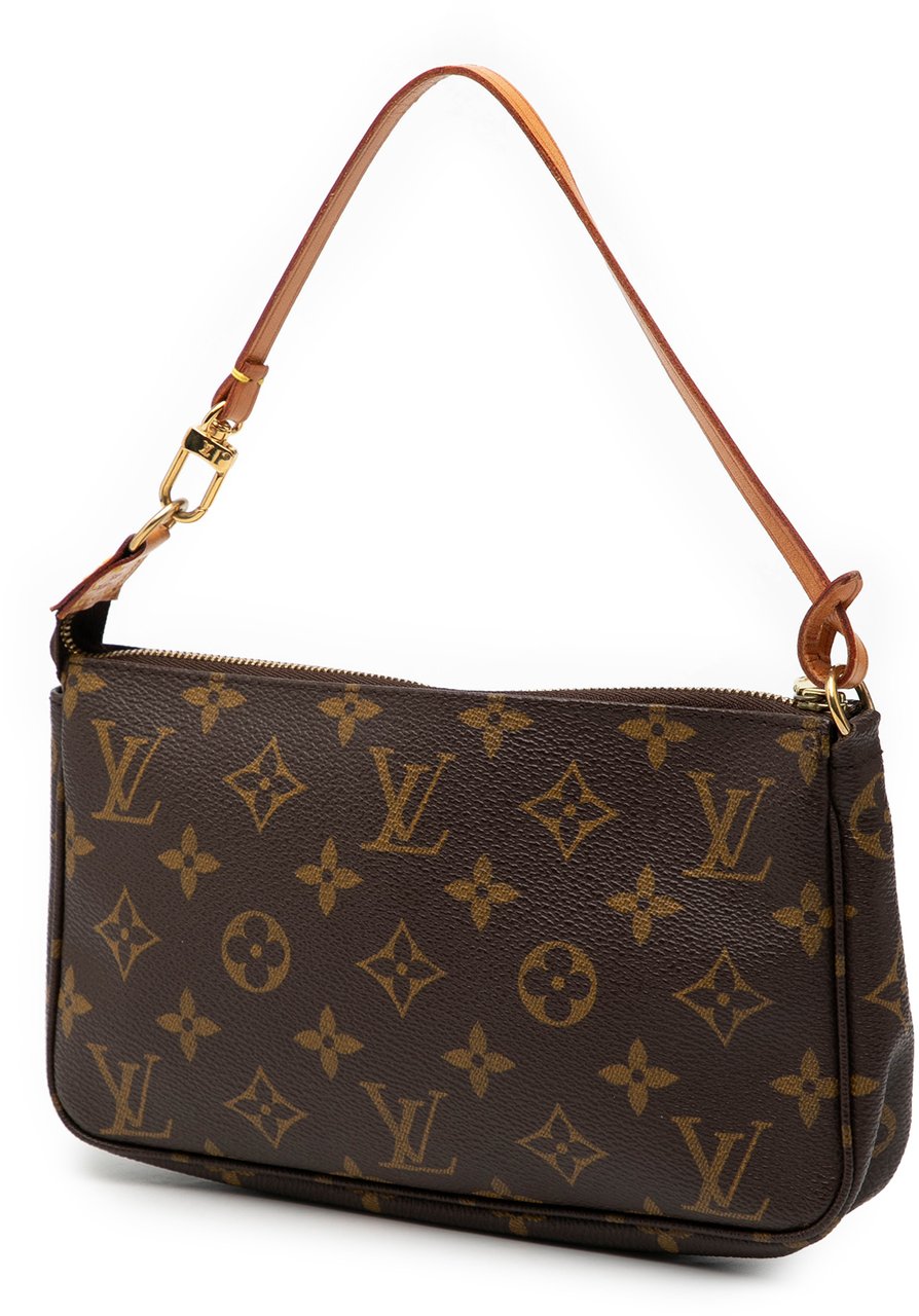Louis Vuitton Monogram Pochette Accessoires Bruin