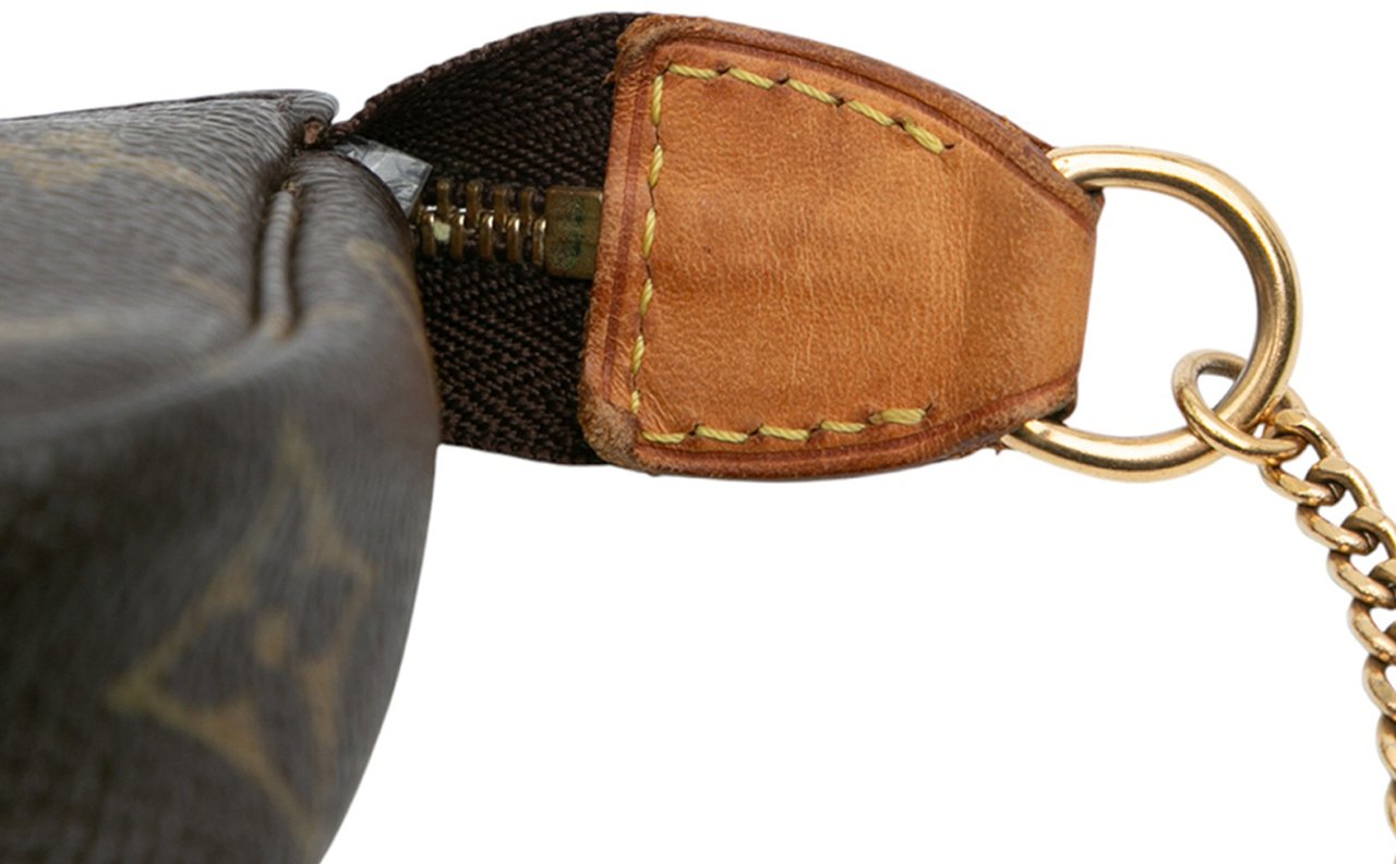 Louis Vuitton Monogram Mini Pochette Accessoires Bruin