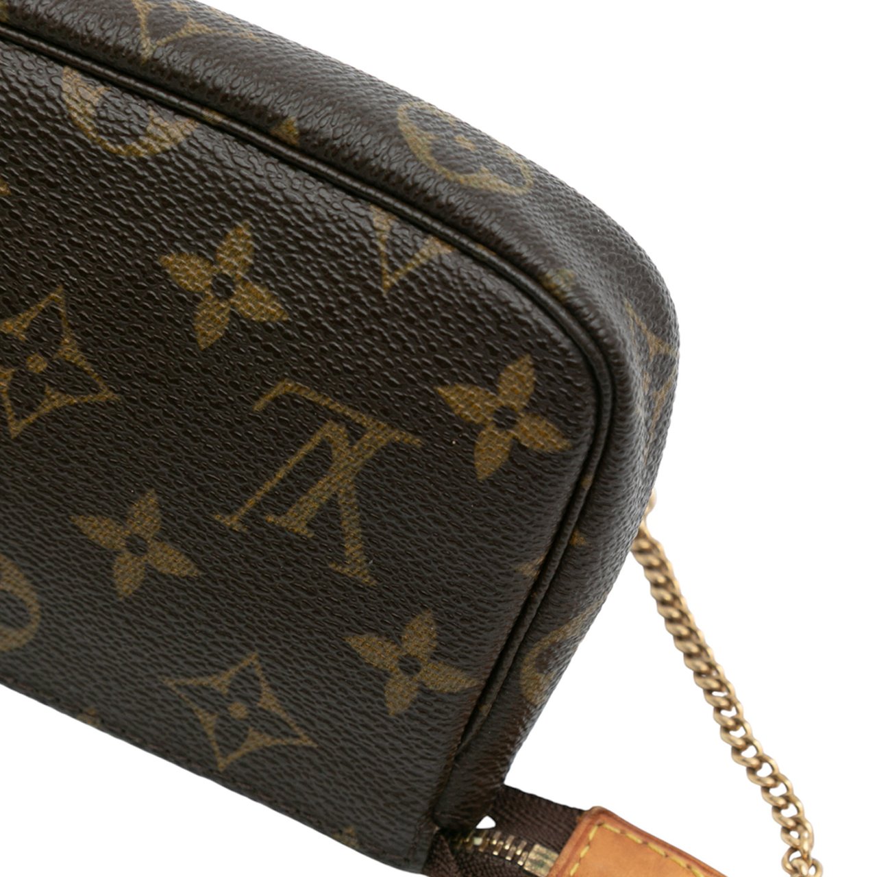 Louis Vuitton Monogram Mini Pochette Accessoires Bruin