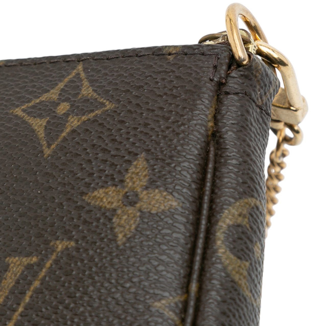 Louis Vuitton Monogram Mini Pochette Accessoires Bruin