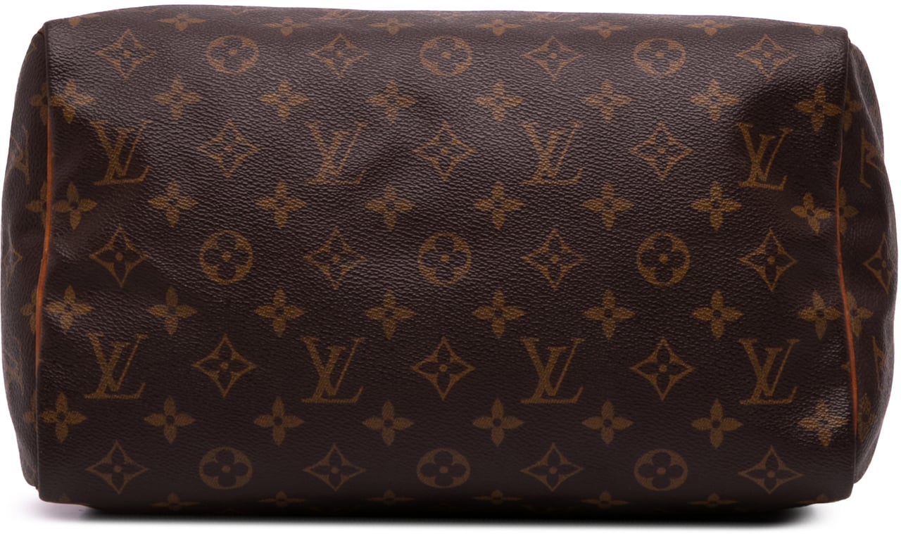 Louis Vuitton Monogram Speedy 30 Bruin