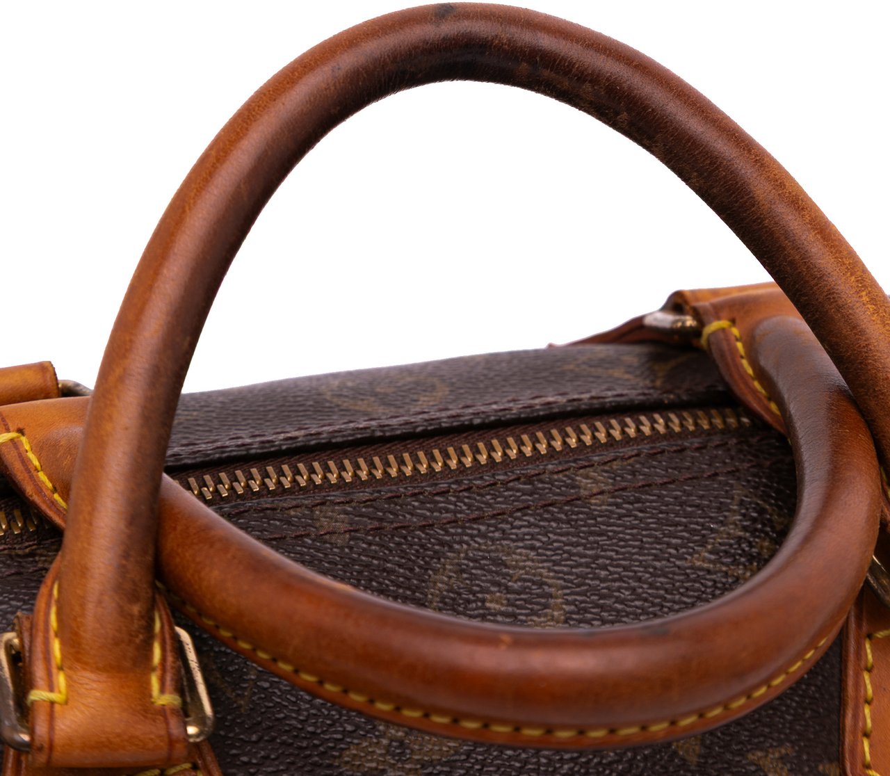 Louis Vuitton Monogram Speedy 30 Bruin