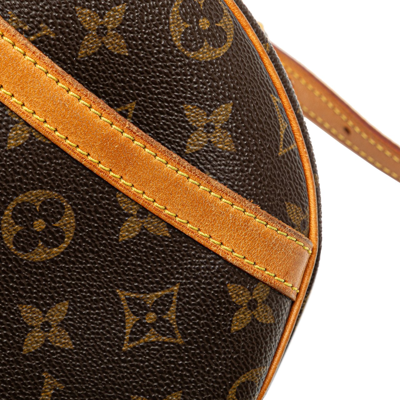 Louis Vuitton Monogram Blois Bruin