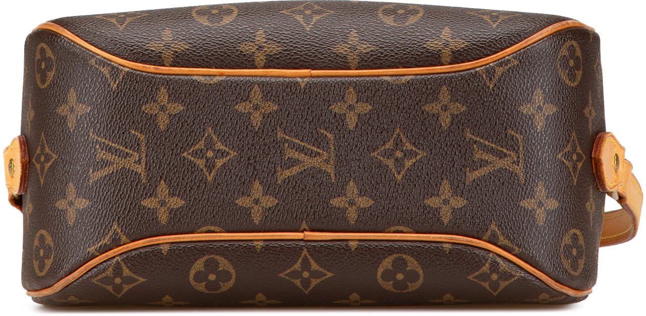 Louis Vuitton Monogram Blois Bruin