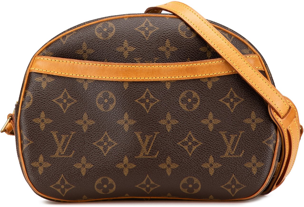 Louis Vuitton Monogram Blois Bruin