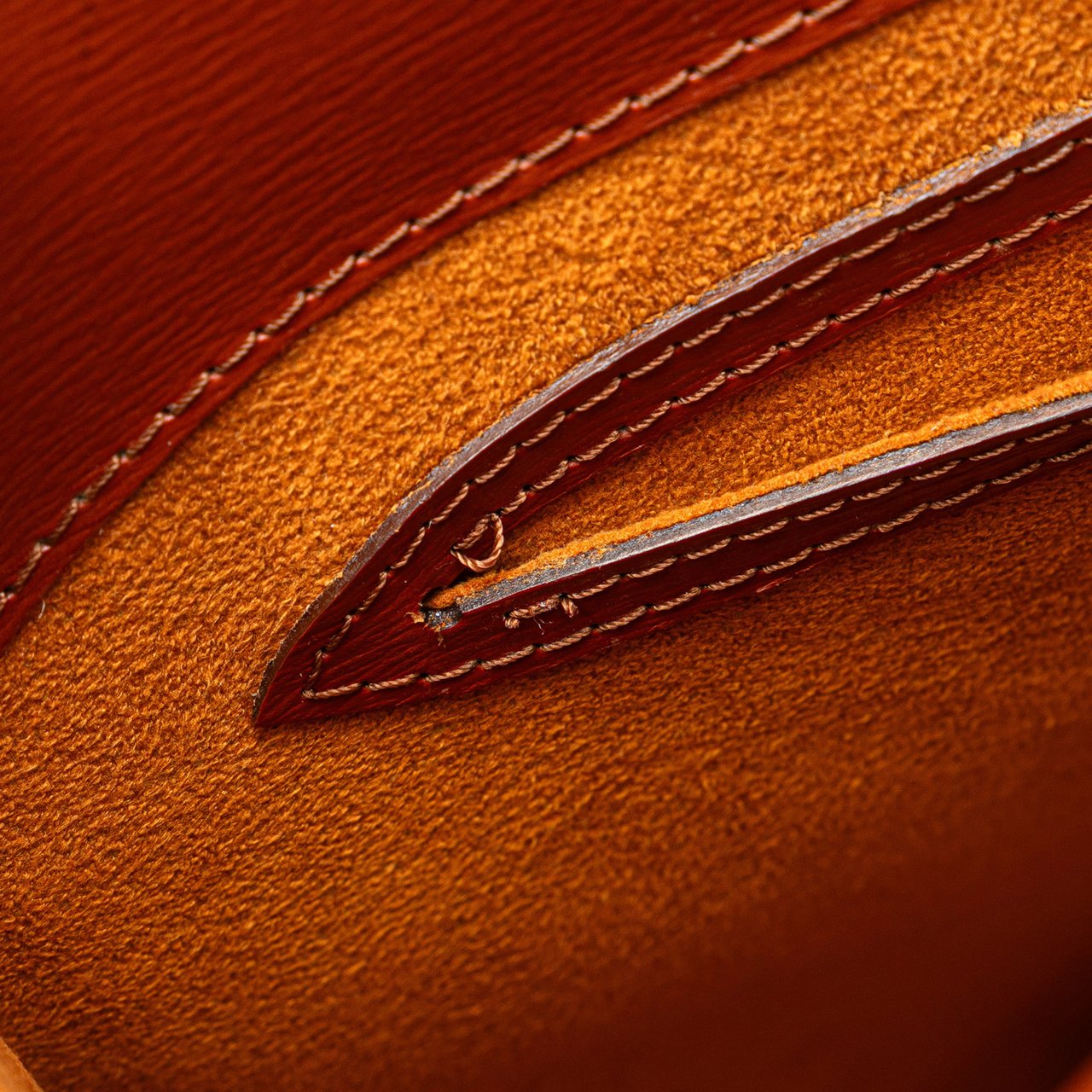 Louis Vuitton Epi Cluny Bruin