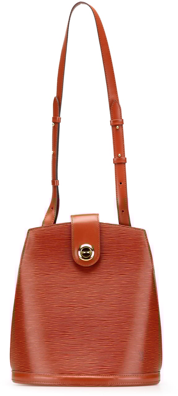 Louis Vuitton Epi Cluny Bruin