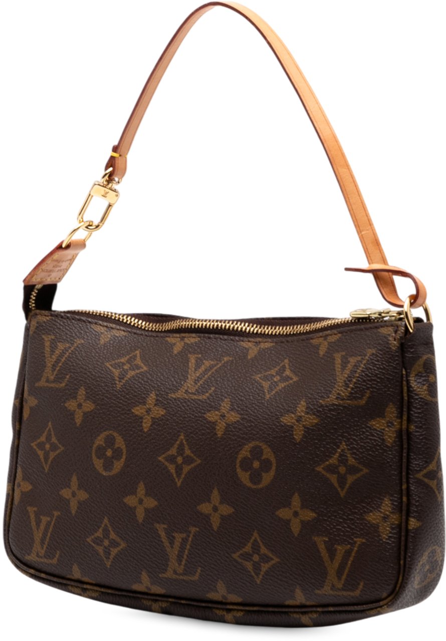 Louis Vuitton Monogram Pochette Accessoires Bruin