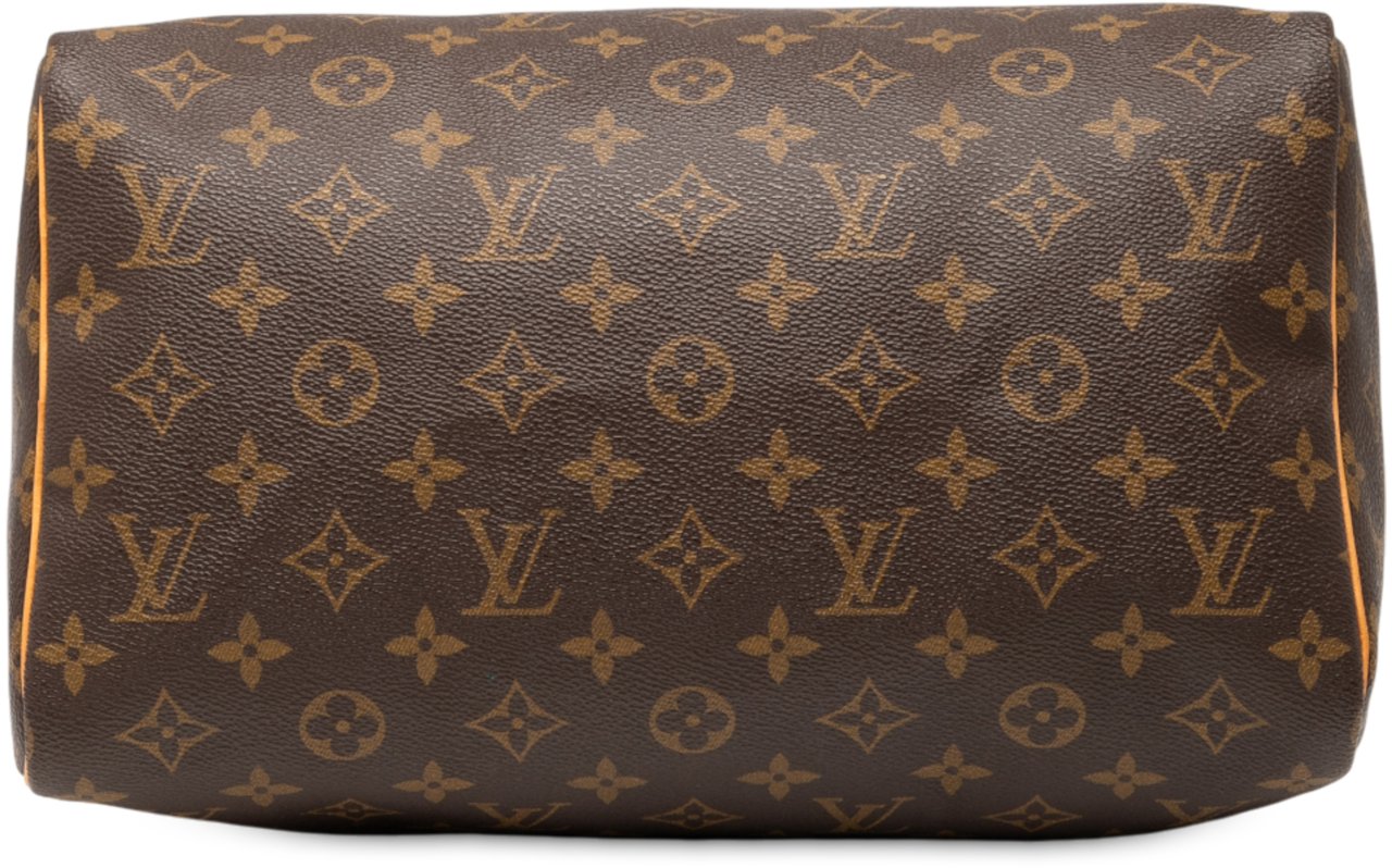 Louis Vuitton Monogram Speedy 30 Bruin
