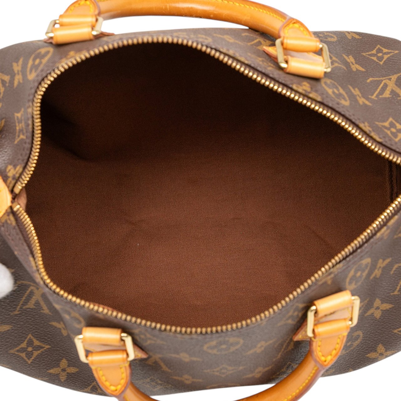 Louis Vuitton Monogram Speedy 30 Bruin