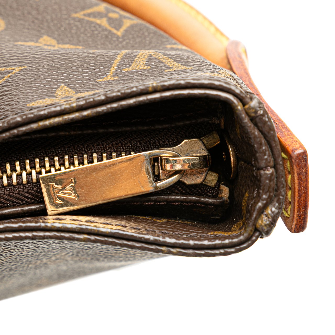 Louis Vuitton Monogram Looping GM Bruin