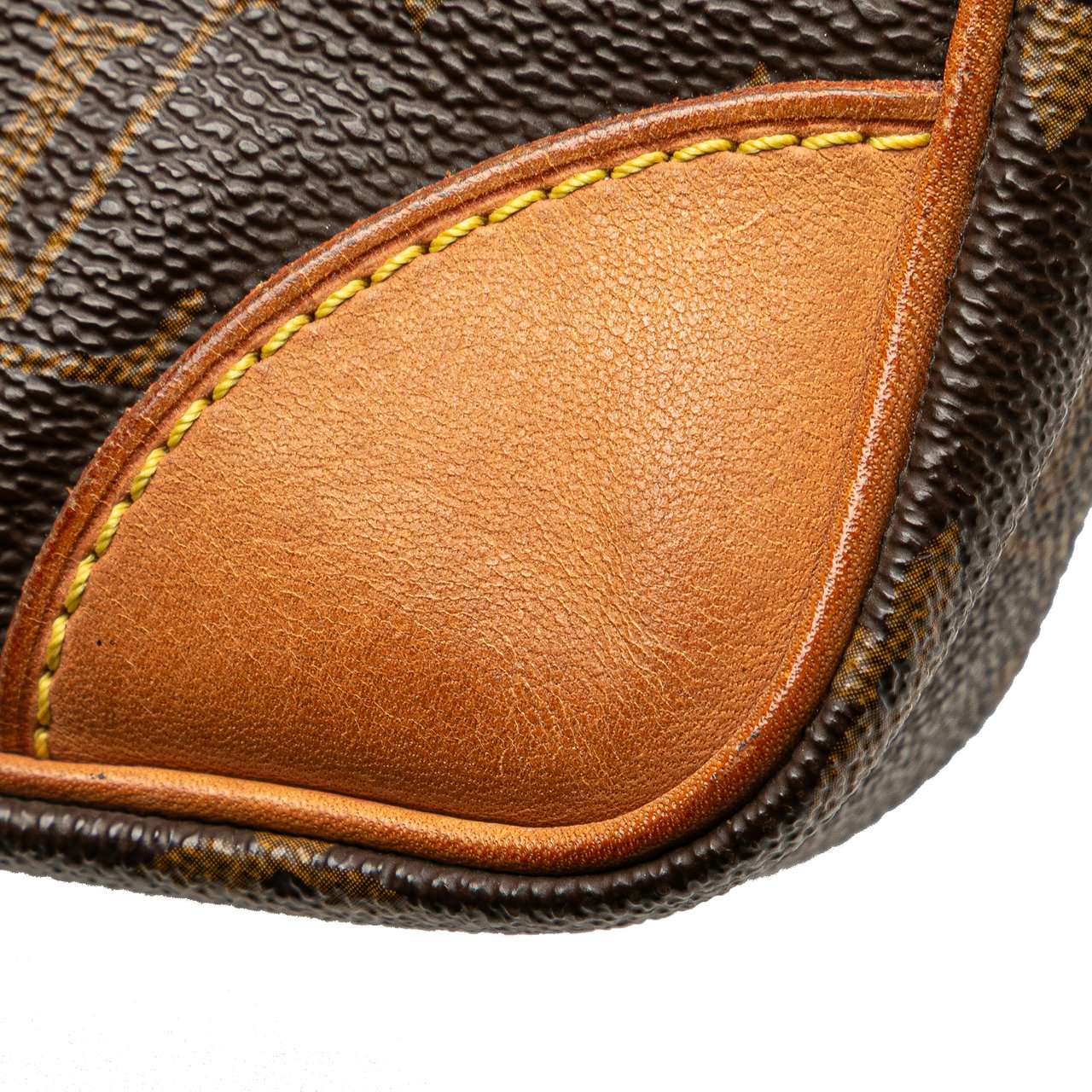 Louis Vuitton Monogram Marly Dragonne GM Bruin