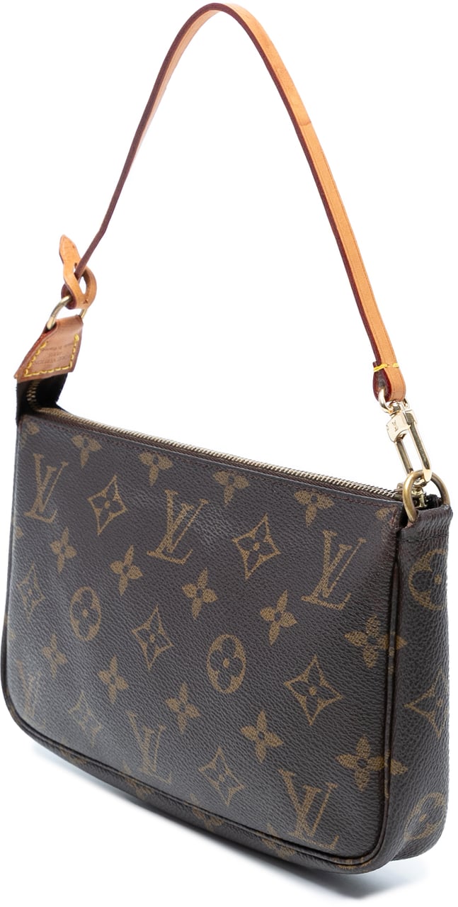 Louis Vuitton Monogram Pochette Accessoires Bruin