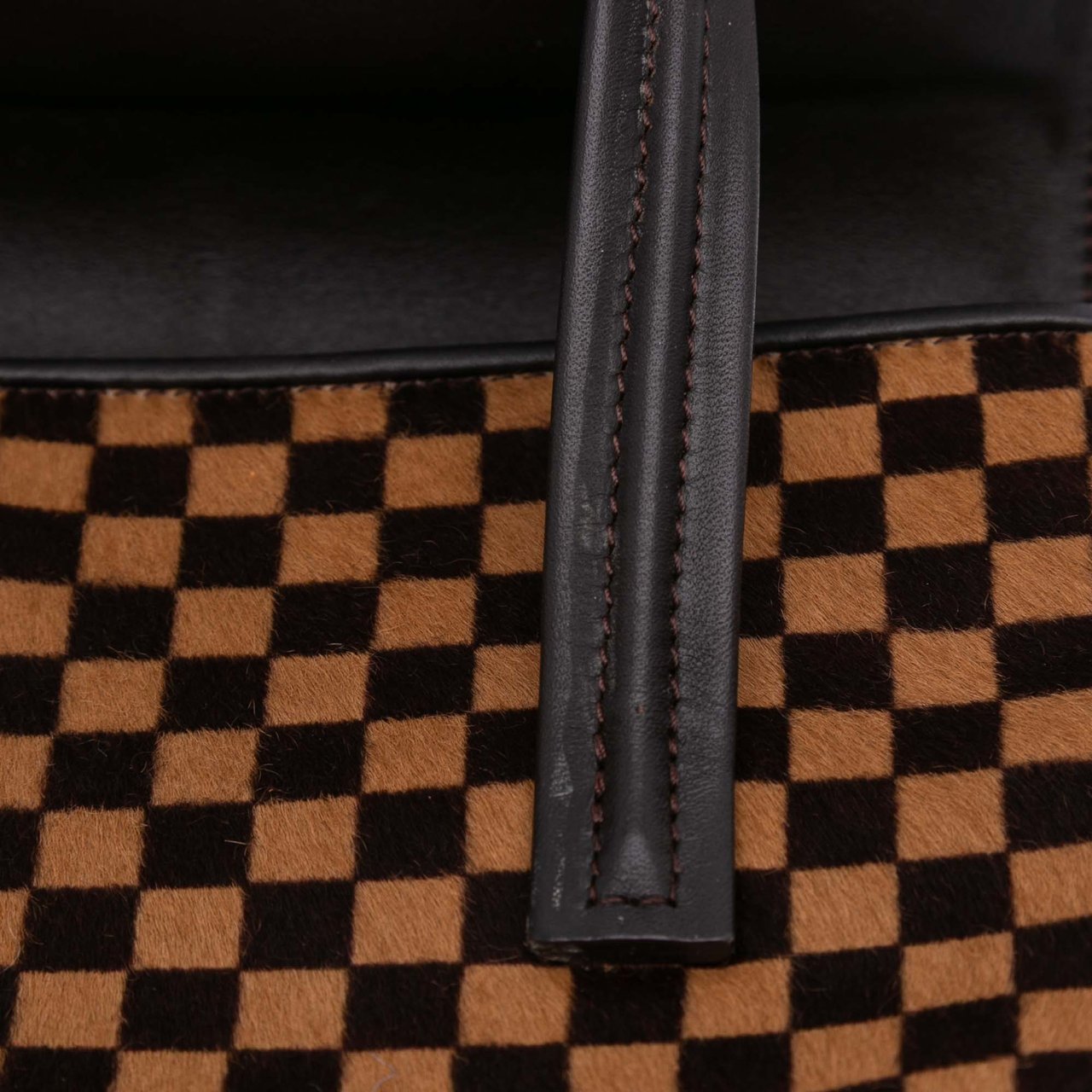 Louis Vuitton Damier Sauvage Lionne Bruin