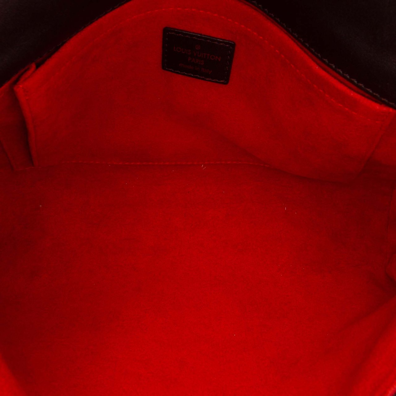 Louis Vuitton Damier Sauvage Lionne Bruin