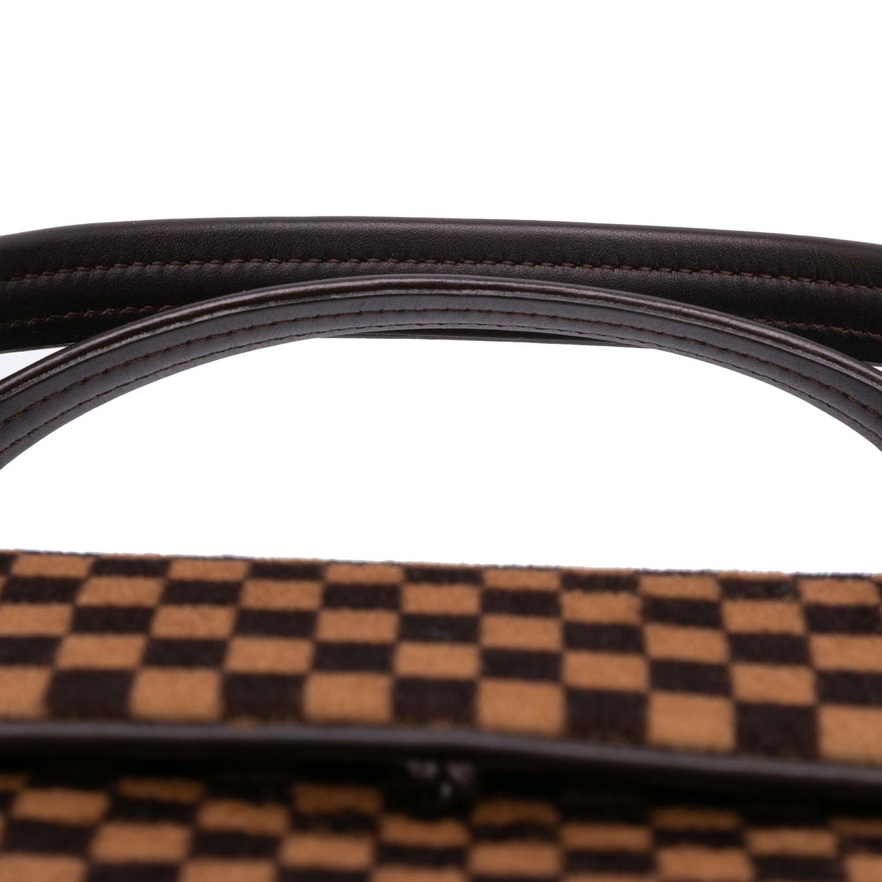 Louis Vuitton Damier Sauvage Lionne Bruin