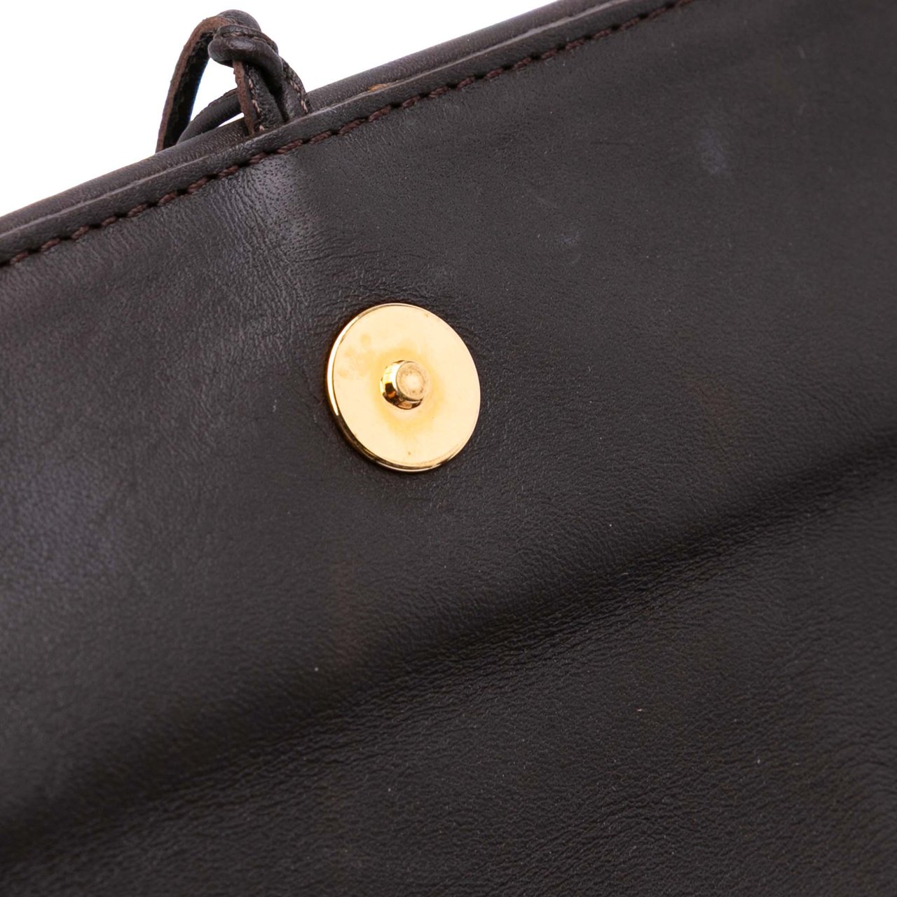 Louis Vuitton Damier Sauvage Lionne Bruin