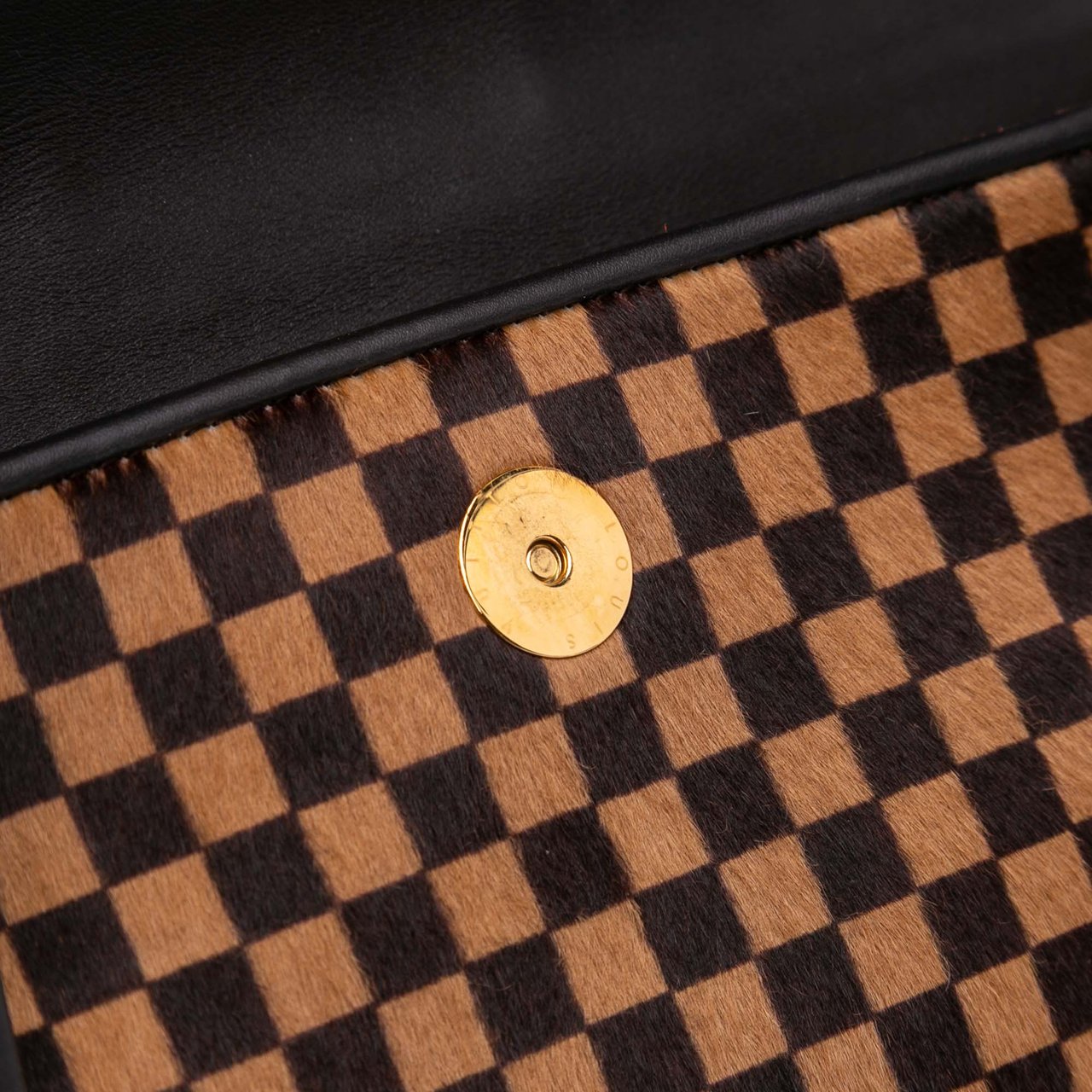 Louis Vuitton Damier Sauvage Lionne Bruin