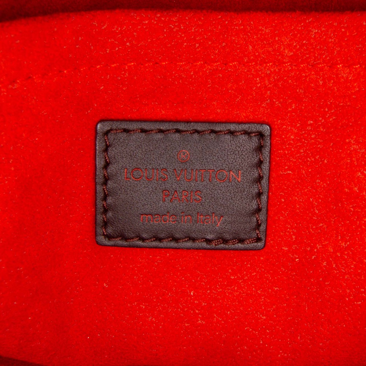 Louis Vuitton Damier Sauvage Lionne Bruin