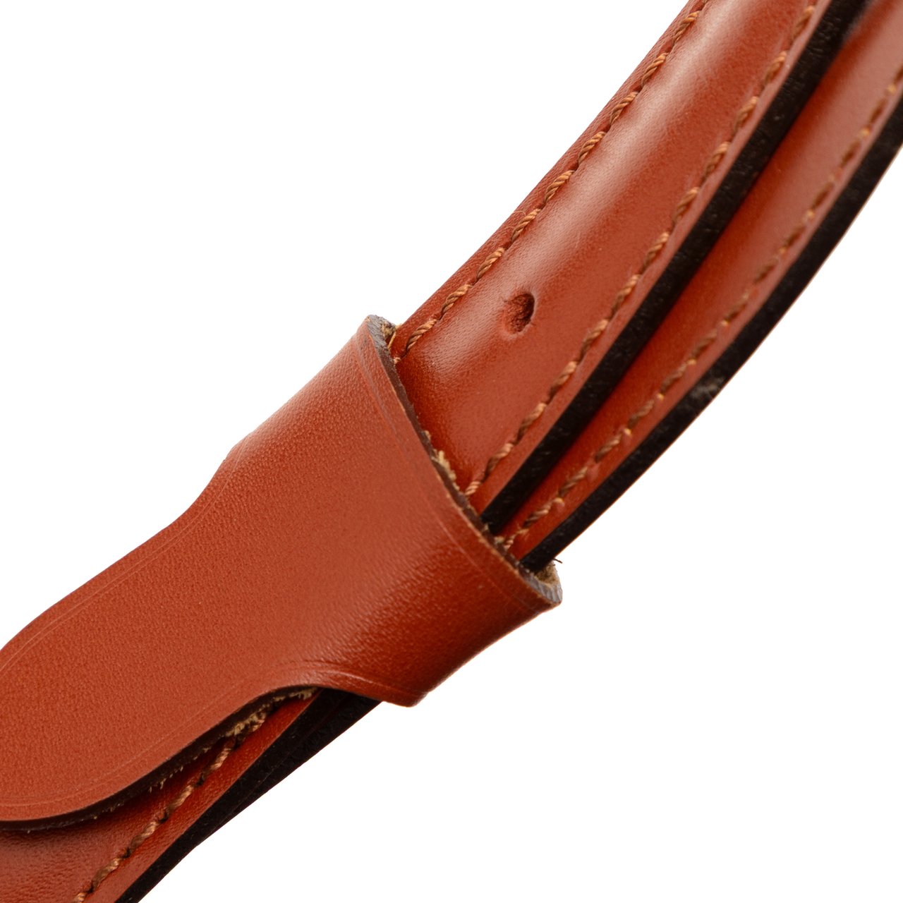 Louis Vuitton Epi Randonnee PM Bruin