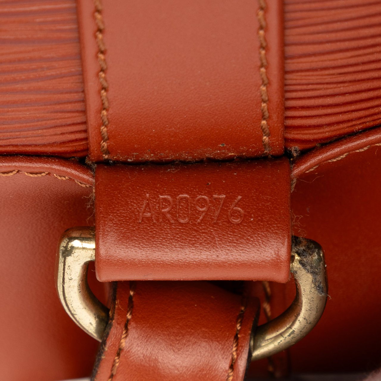 Louis Vuitton Epi Randonnee PM Bruin