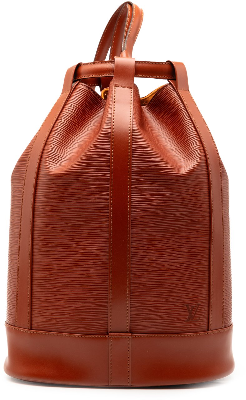 Louis Vuitton Epi Randonnee PM Bruin