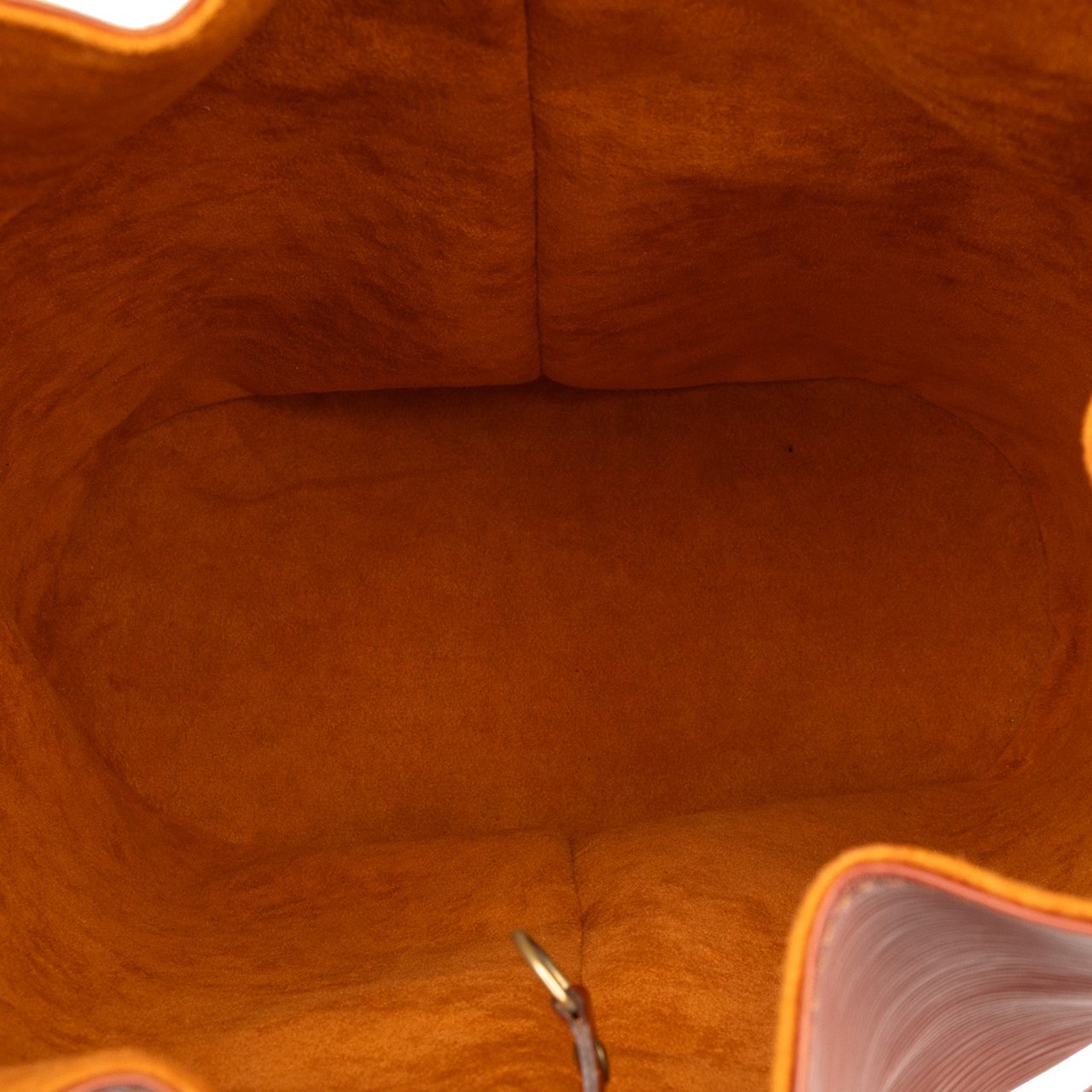 Louis Vuitton Epi Randonnee PM Bruin