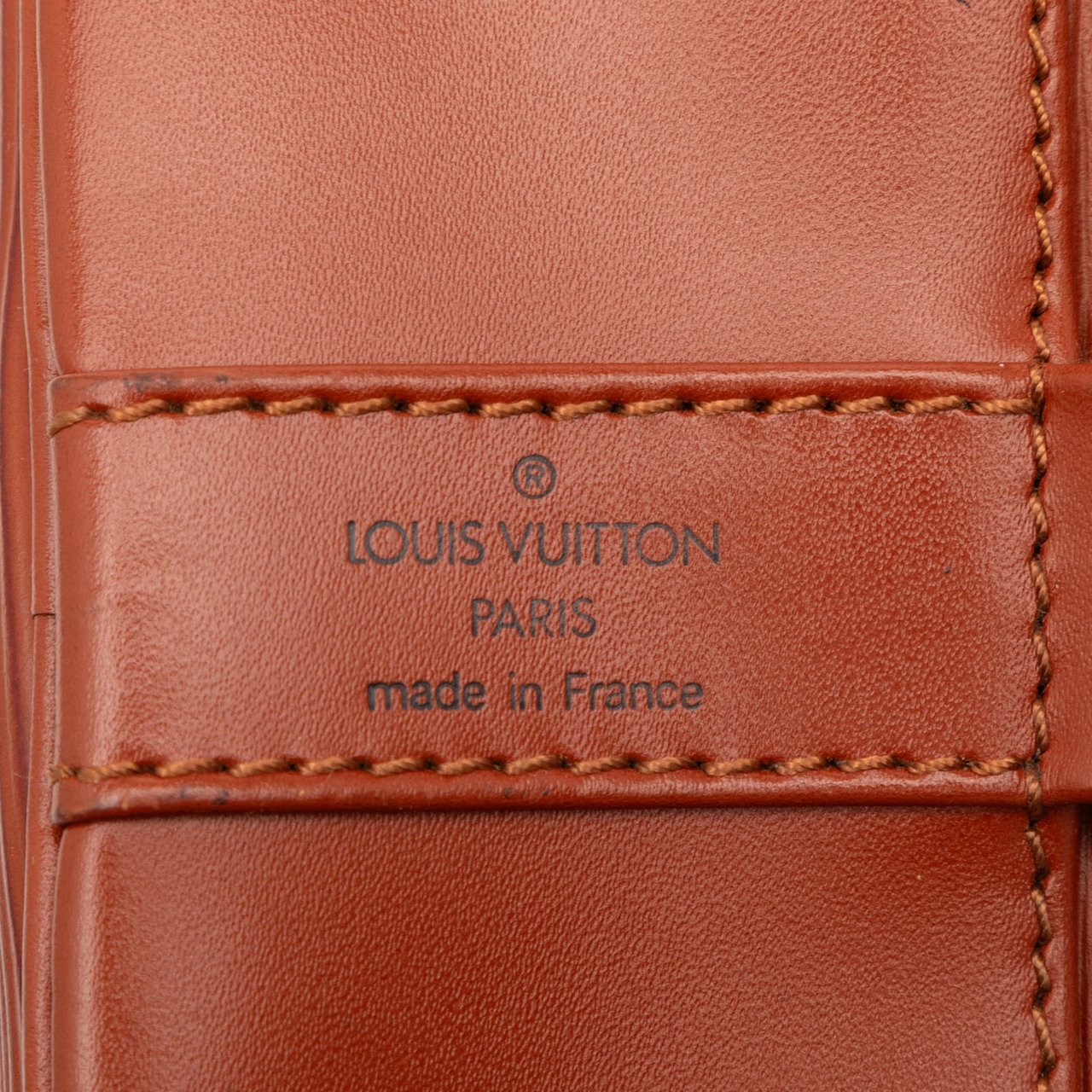 Louis Vuitton Epi Randonnee PM Bruin
