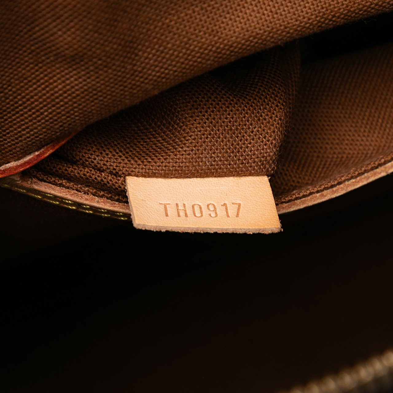 Louis Vuitton Monogram Alma PM Bruin