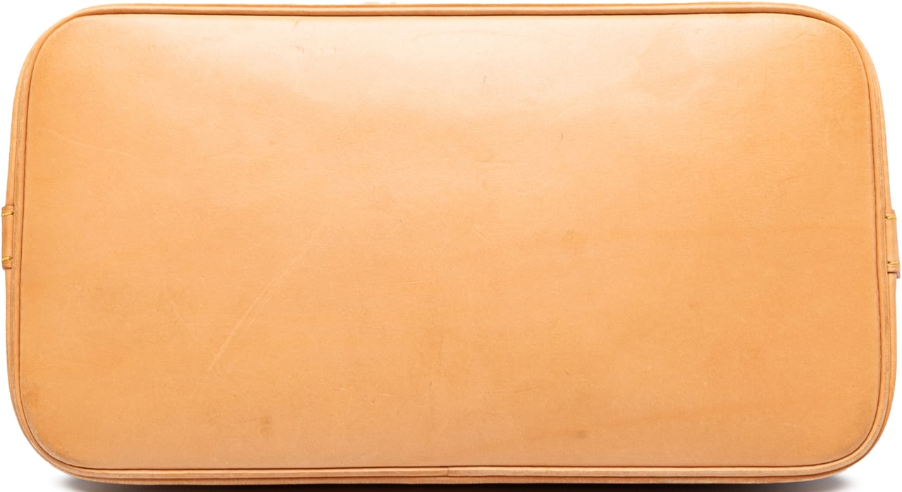Louis Vuitton Monogram Alma PM Bruin