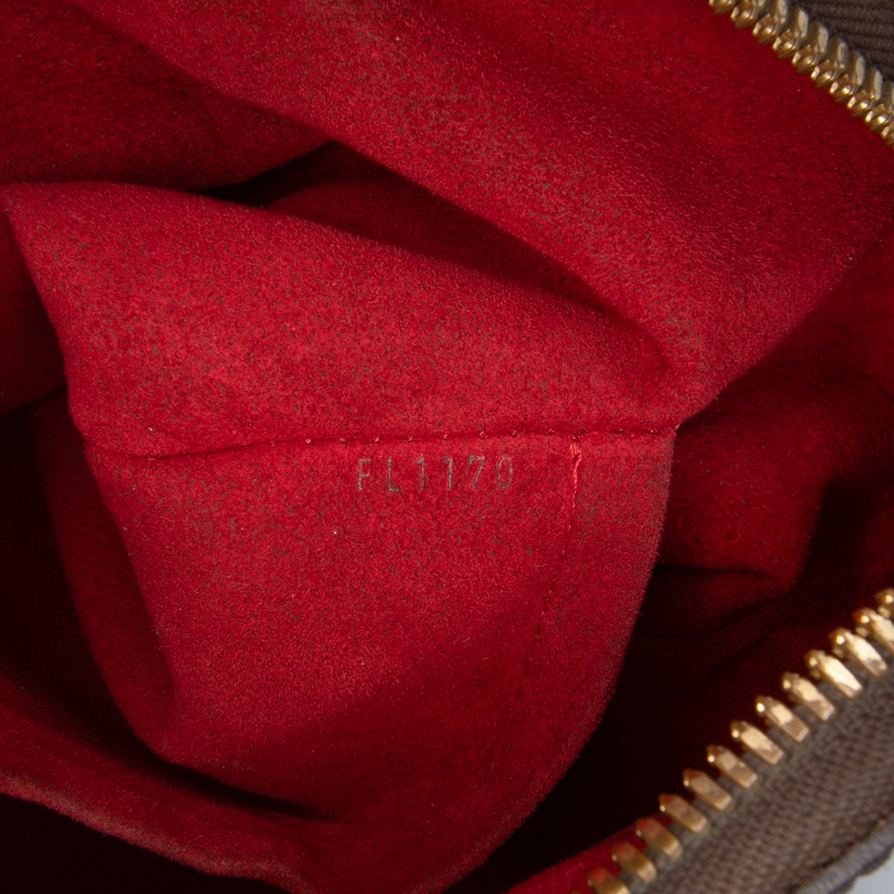 Louis Vuitton Damier Ebene Trevi PM Bruin