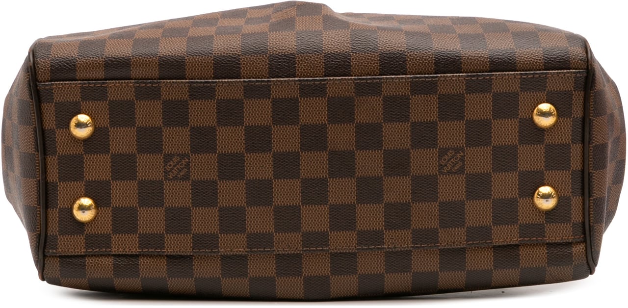 Louis Vuitton Damier Ebene Trevi PM Bruin