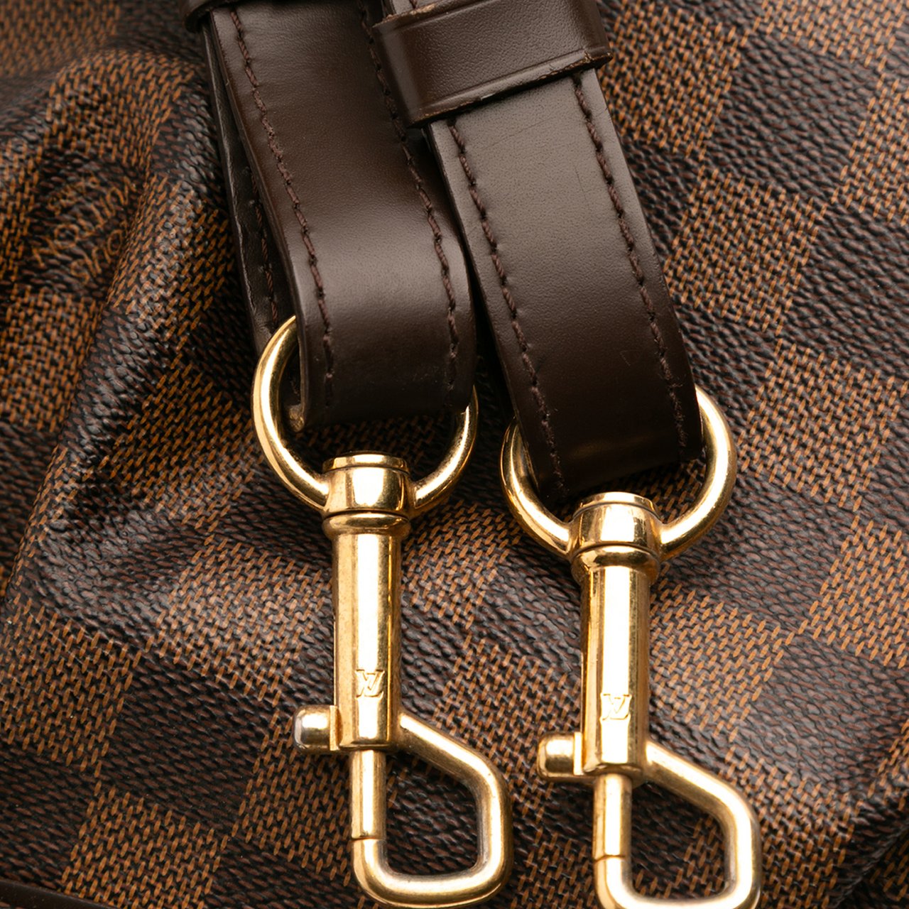 Louis Vuitton Damier Ebene Trevi PM Bruin