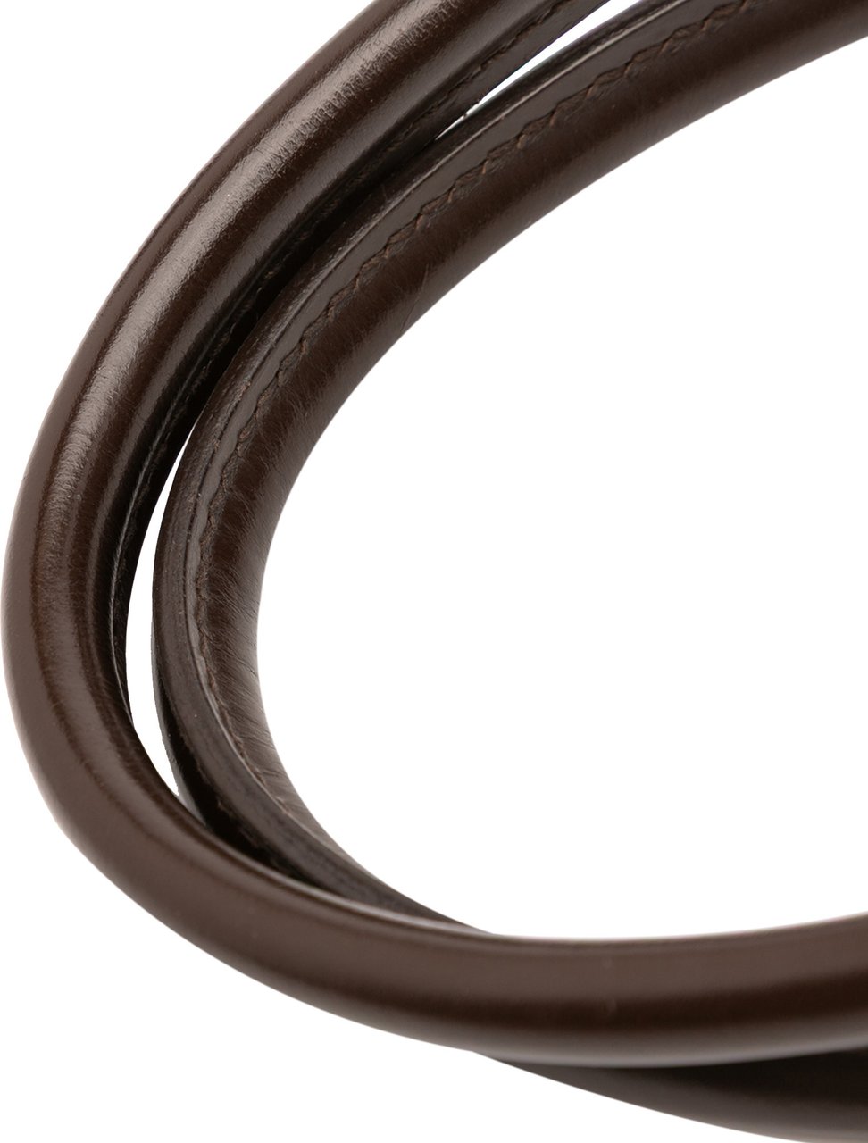 Louis Vuitton Damier Ebene Trevi PM Bruin