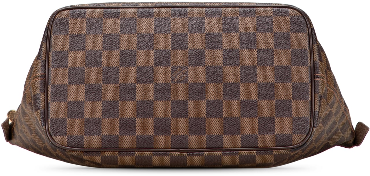 Louis Vuitton Damier Ebene Saleya PM Bruin