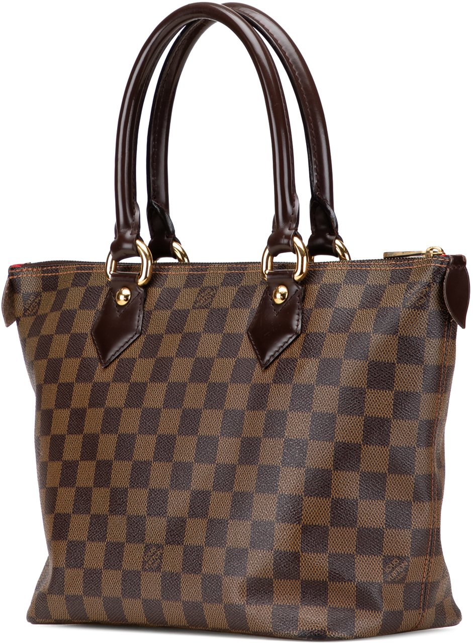 Louis Vuitton Damier Ebene Saleya PM Bruin