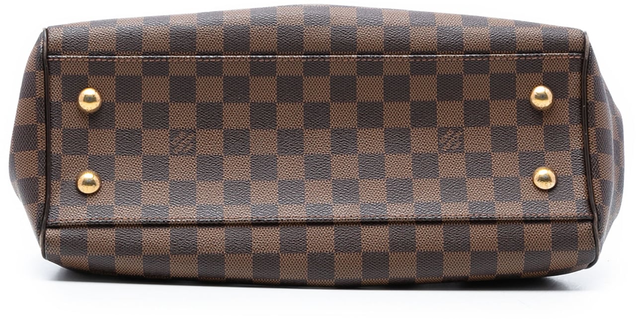 Louis Vuitton Damier Ebene Trevi PM Bruin