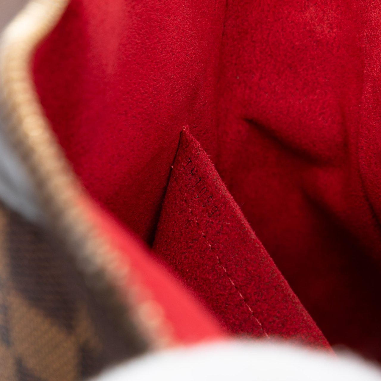 Louis Vuitton Damier Ebene Trevi PM Bruin