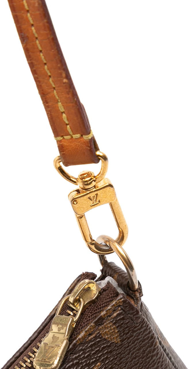 Louis Vuitton Monogram Pochette Accessoires Bruin