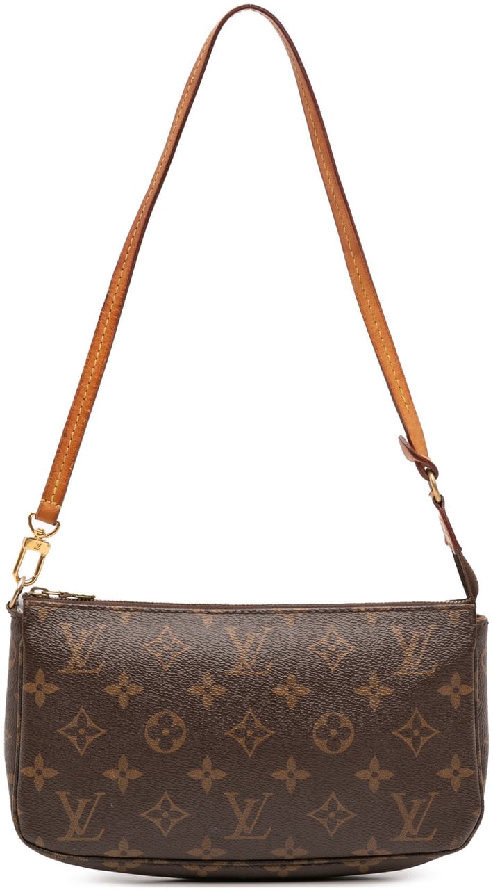 Louis Vuitton Monogram Pochette Accessoires Bruin