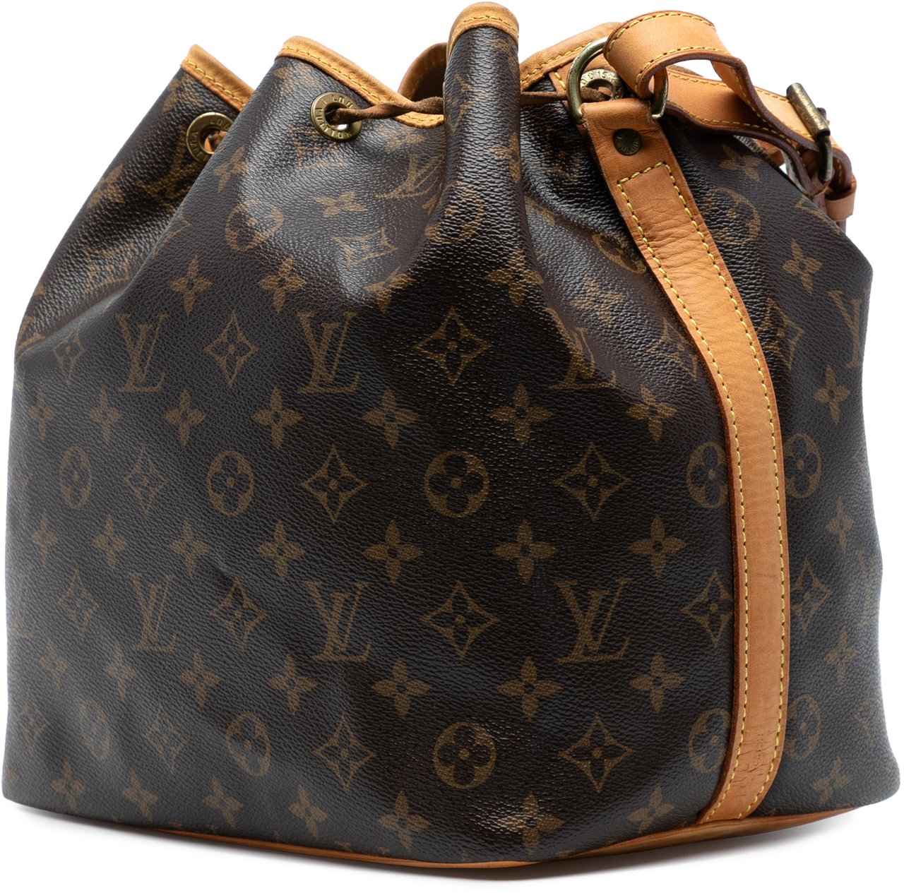 Louis Vuitton Monogram Petit Noe Bruin