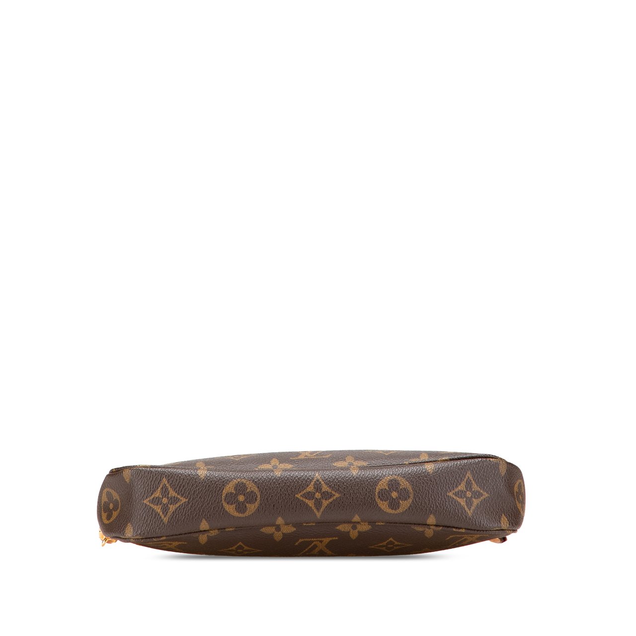 Louis Vuitton Monogram Pochette Accessoires Bruin