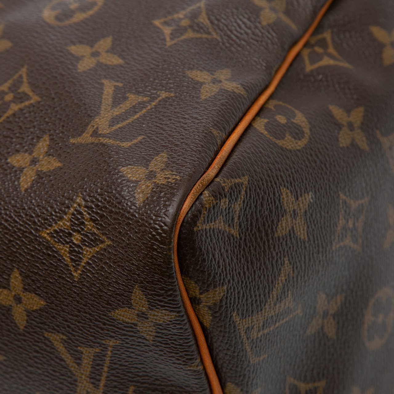 Louis Vuitton Monogram Speedy 30 Bruin
