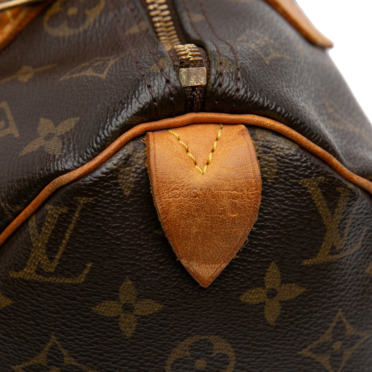 Louis Vuitton Monogram Speedy 30 Bruin