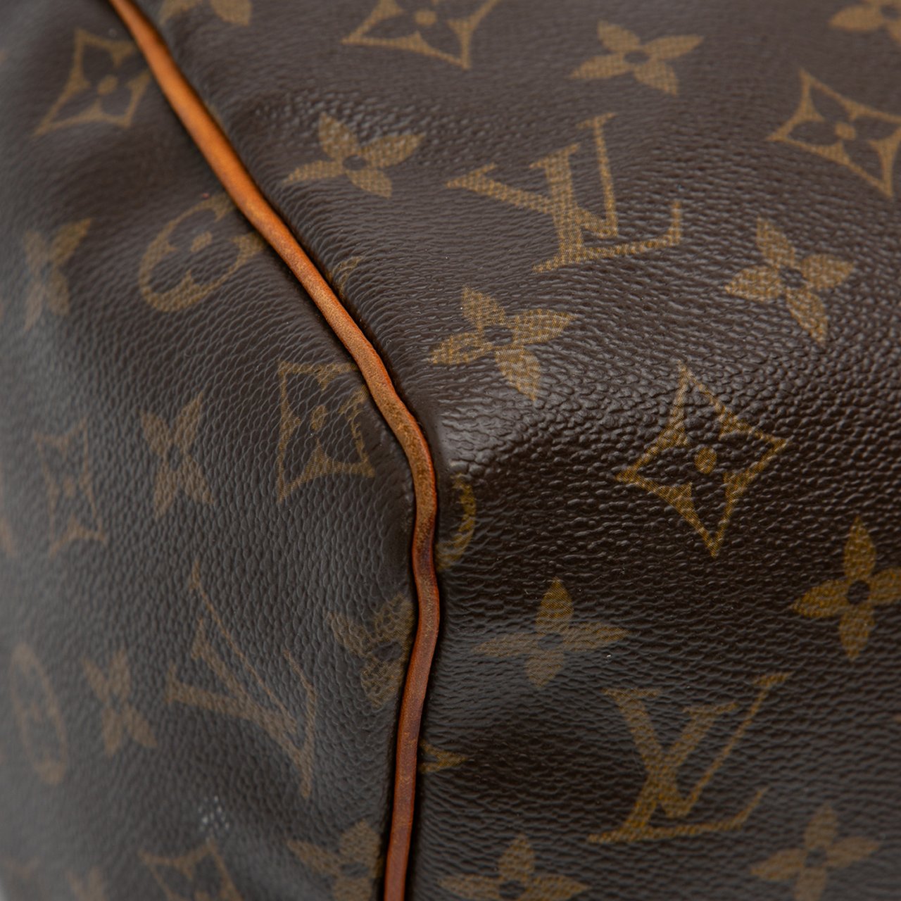 Louis Vuitton Monogram Speedy 30 Bruin